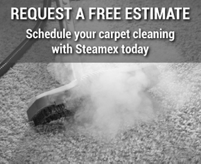 Request a Free Estimate | Schedule your carpet cleaning with Steamex today