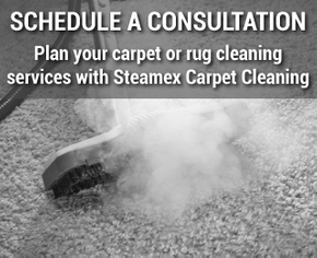 Schedule a Consultation | Plan your carpet or rug cleaning services with Steamex 